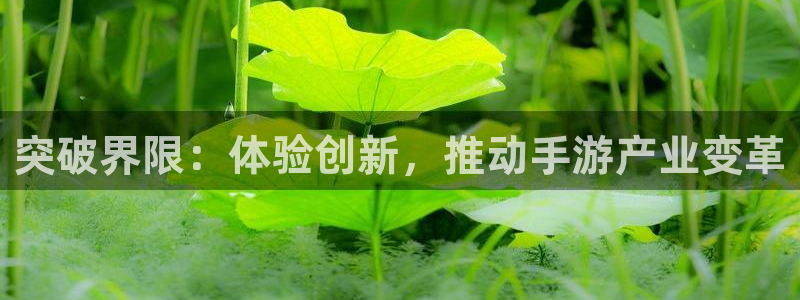 大神28助手：突破界限：体验创新，推动手游产业变革