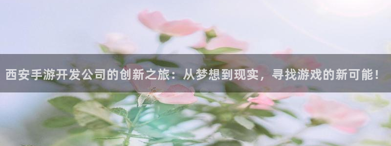 大神28分分预测：西安手游开发公司的创新之旅：从梦想到现实，