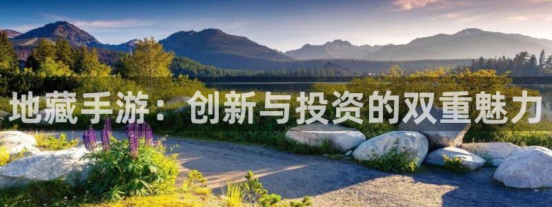 加拿大零28大神预测：地藏手游：创新与投资的双重魅力
