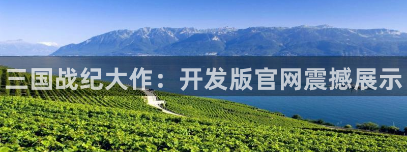 大神28手机版下载：三国战纪大作：开发版官网震撼展示