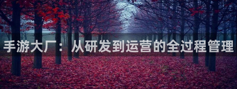 28大神苹果怎么下载