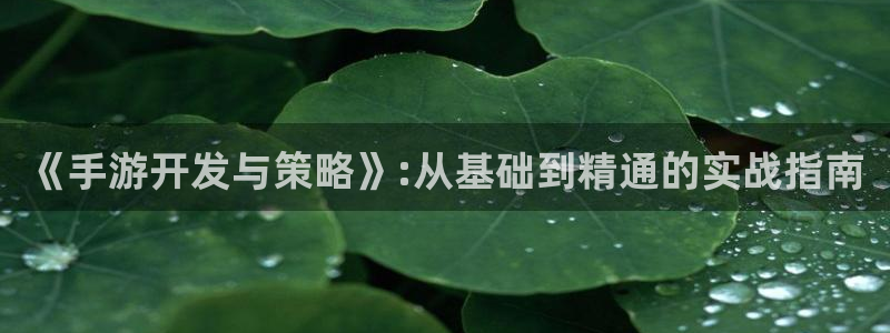 大神28软件：《手游开发与策略》:从基础到精通的实战指南