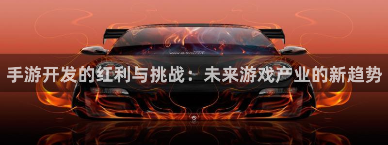 28大神怎么上不去了：手游开发的红利与挑战：未来游戏产业的新
