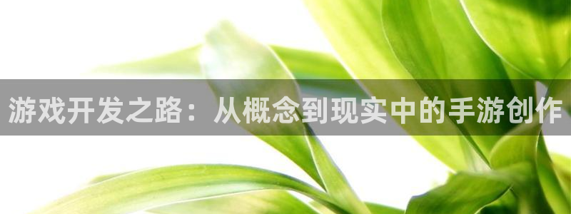 28大神预测群号码：游戏开发之路：从概念到现实中的手游创作