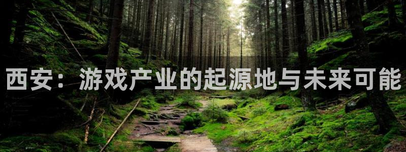 28大神网页：西安：游戏产业的起源地与未来可能