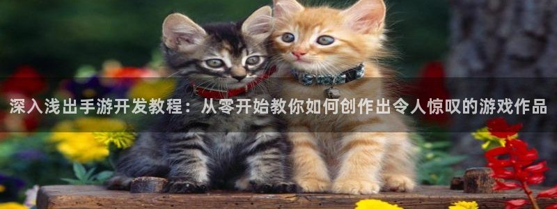 28大神软件不能用了：深入浅出手游开发教程：从零开始教你如何