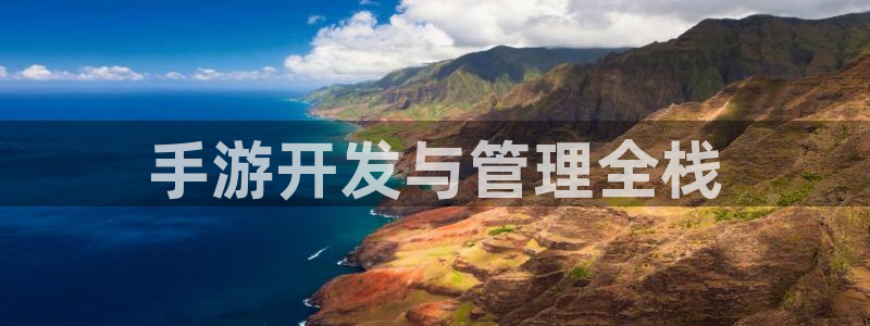 大神28软件：手游开发与管理全栈