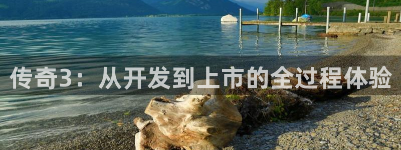 大神28开奖预测：传奇3：从开发到上市的全过程体验