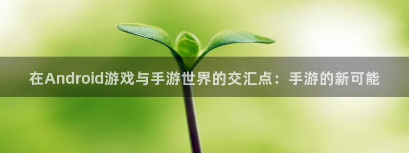 大神28加拿大在线预测：在Android游戏与手游世界的交汇