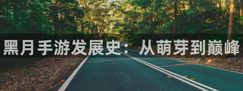 28大神结果查询：黑月手游发展史：从萌芽到巅峰