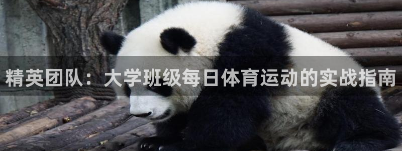 ug环球官网登录入口