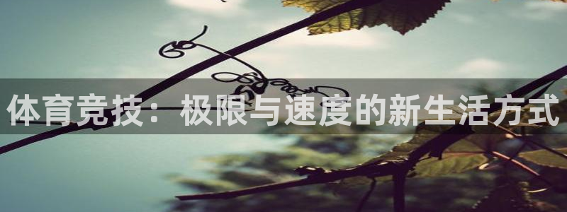 ug环球官网注册