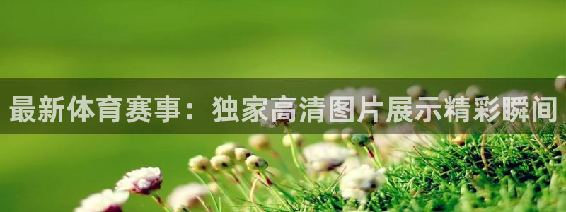 ug环球官网登录入口：最新体育赛事：独家高清图片展示精彩瞬间