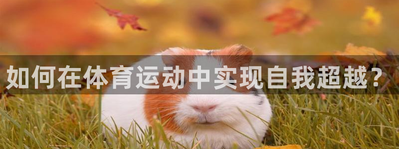 ug环球官网注册