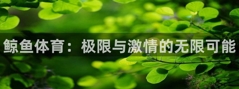 菲律宾ug环球官网：鲸鱼体育：极限与激情的无限可能