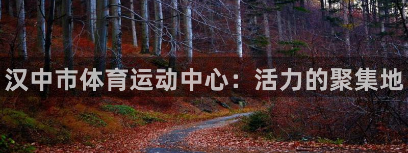 ug环球官网登录入口：汉中市体育运动中心：活力的聚集地